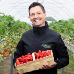 Erdbeerproduzent Thomas Hurni 1