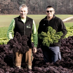 Teaser Federkohl aus der Region