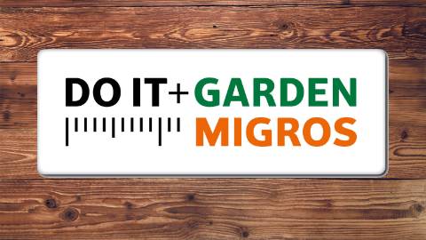 Logo DO IT + Garden 