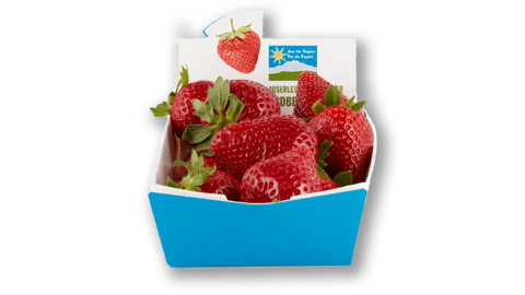 1080x1440_AdR-Produkte_Erdbeeren
