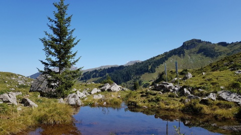 1200x900_Grimmialpbergbahnen