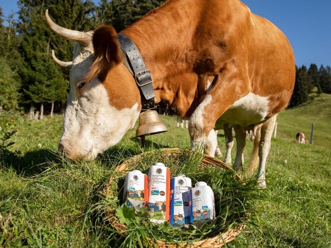 Teaser Wiesenmilch Kuh