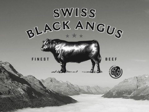 Teaser Swiss Black Angus