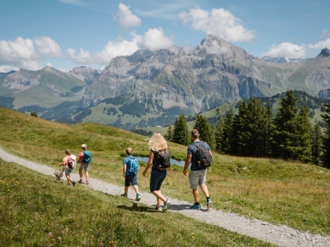 1200x900_VogellisiBerg_Betelberg_Adelboden-Lenk