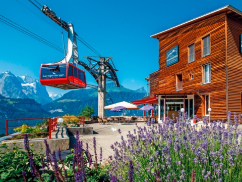 rt_ms_div_div_Urabstimmung_01_2025_online_1200x900_Hotel