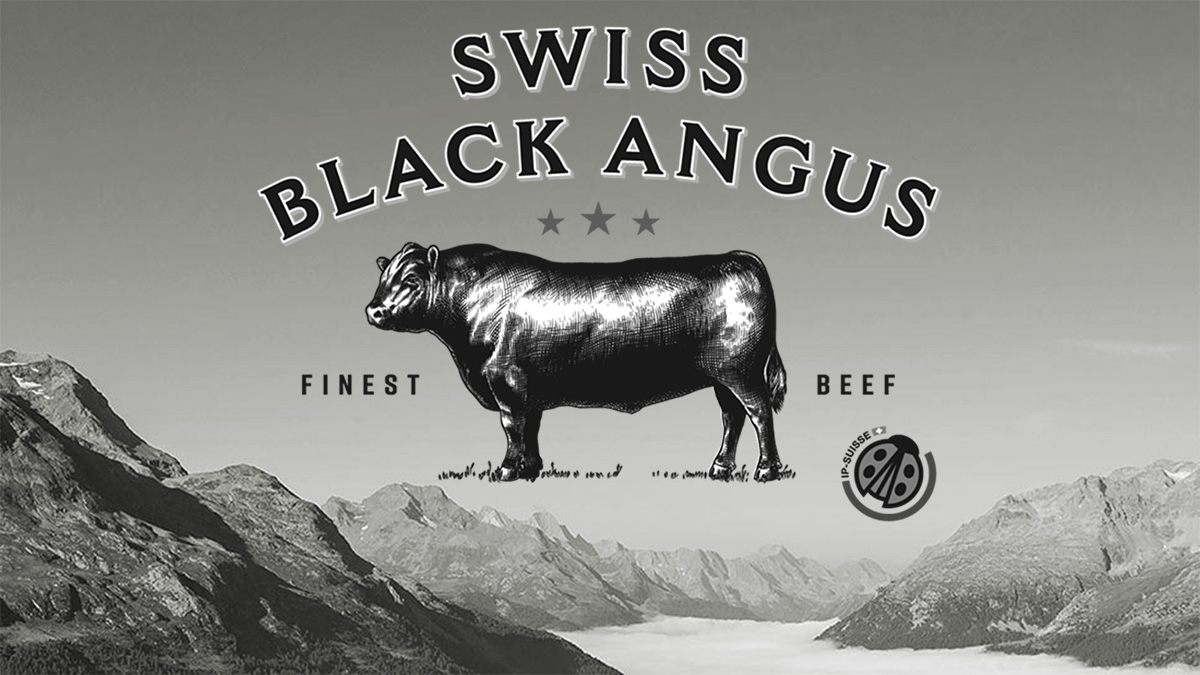 Content Swiss Black Angus