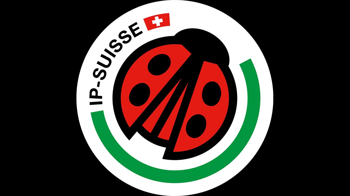 Logo IP-Suisse